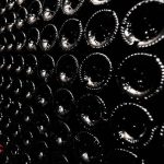 A la découverte du vin - Sn autonome vins - rangement - frigo