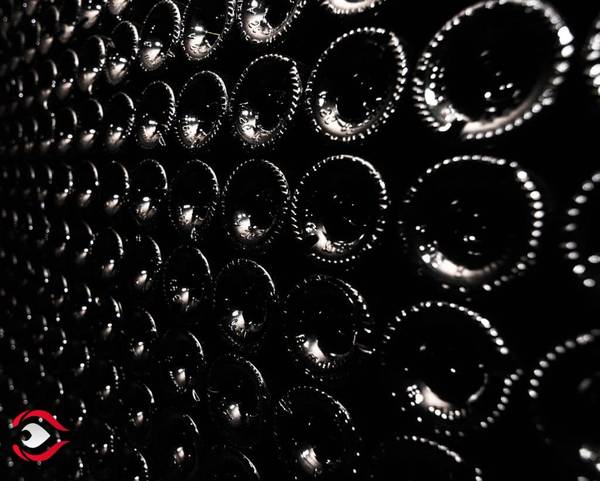 A la découverte du vin – Sn autonome vins – rangement – frigo
